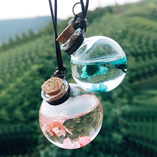 Moin - 1 botella de perfume para coche con aceites esenciales de flores, colgante de perfume vacía para coche, estilo pequeño