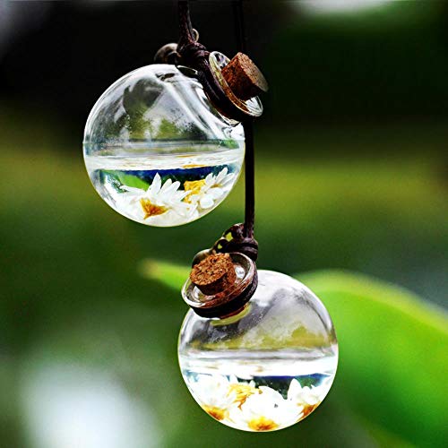 Moin - 1 botella de perfume para coche con aceites esenciales de flores, colgante de perfume vacía para coche, estilo pequeño