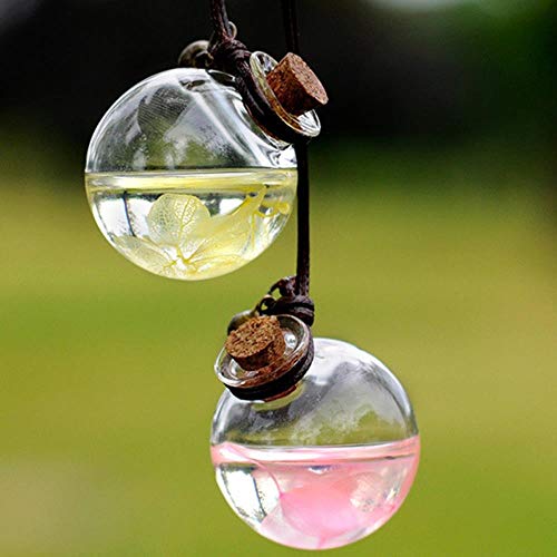 Moin - 1 botella de perfume para coche con aceites esenciales de flores, colgante de perfume vacía para coche, estilo pequeño