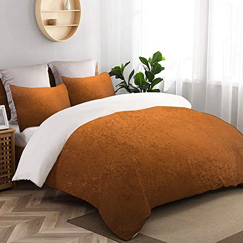 Mokale Bedding Juego de Funda de Edredón,Grungy Aspecto Vintage Textura Degradado Abstracto Superficie áspera Pared，Microfibra Funda de Nórdico y Fundas de Almohada - 220 x 240cm