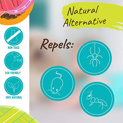 Naissance Menta Piperita BIO - Aceite esencial 100% Puro - Certificación Ecológica - 10ml