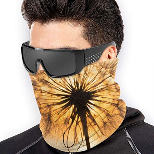 naizi Diente de León Silueta Sunset Cielo Zen Yoga Zen Nature Diente de León Oro Unisex Microfibra Cuello Calentador Headwear Bufanda Máscara para Invierno Frío Máscara Bandana Pasamontañas