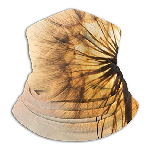 naizi Diente de León Silueta Sunset Cielo Zen Yoga Zen Nature Diente de León Oro Unisex Microfibra Cuello Calentador Headwear Bufanda Máscara para Invierno Frío Máscara Bandana Pasamontañas