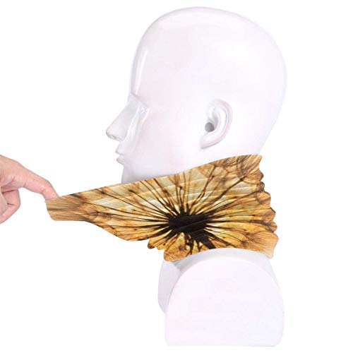 naizi Diente de León Silueta Sunset Cielo Zen Yoga Zen Nature Diente de León Oro Unisex Microfibra Cuello Calentador Headwear Bufanda Máscara para Invierno Frío Máscara Bandana Pasamontañas