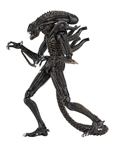 NECA Alien Marron Ultimate Warrior 1986 23 cm Scale Action Figure Aliens, Multicolor (NEC0NC51683)