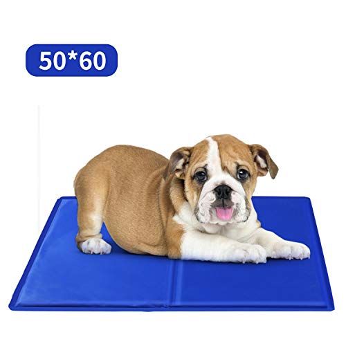 Nobleza – Alfombrilla refrescante para Mascotas Grandes. Auto refrigerante No tóxico. Ideal para para Perros, Gatos en Verano. 65 * 50 cm, Color Azul, M