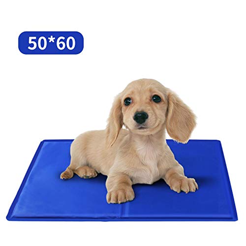 Nobleza – Alfombrilla refrescante para Mascotas Grandes. Auto refrigerante No tóxico. Ideal para para Perros, Gatos en Verano. 65 * 50 cm, Color Azul, M