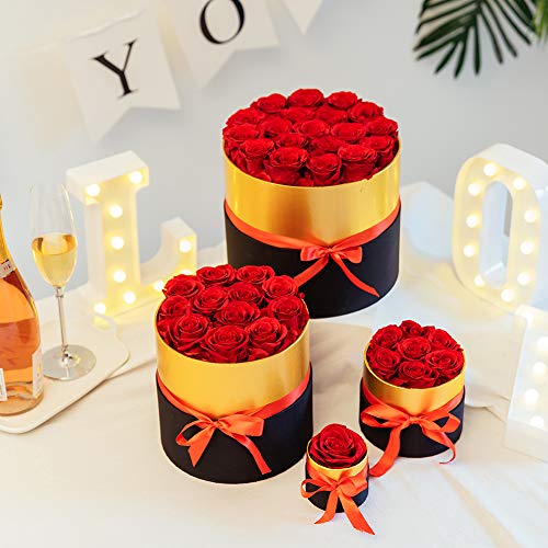 Nuptio Rosas Rojas Preservadas Infinity Rose Flower, 19 Piezas Flores Reales para Siempre Rosa Regalos Románticos para la Novia, Boda Cumpleaños Aniversario Navidad