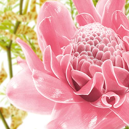 NUXE Expert Anti-taches, Fluido experto antimanchas SPF20, 50 ml