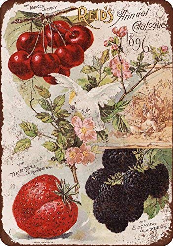 Odeletqweenry Metal Sign, Tin Sign, 1896 Reid's Fruit Seed Catalog Vintage Look Reproducción Metal Tin Sign 12 x 18 Pulgadas