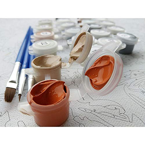 olwonow DIY Pintura Digital Sin Marco Pintura Arte de la Pared Lienzo Imagen Living Home Room Decor 40x50cm DIY