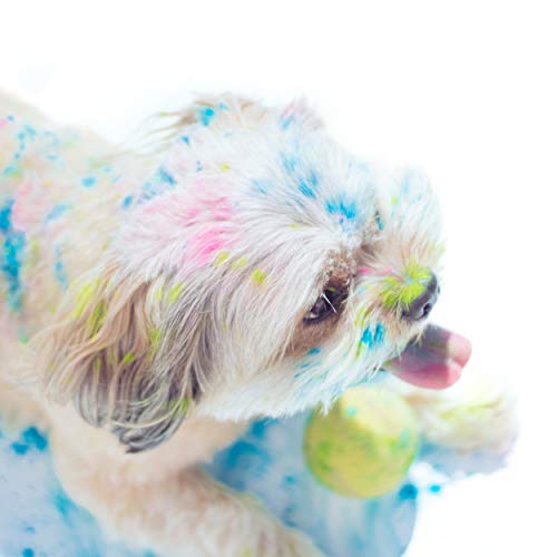 Pack 8 bolsas de polvo Holi de 100 gramos - Edición especial - 8 Colores