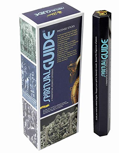 Padmini Incienso Spiritual Guide - 6 Cajas x 20 Varillas -