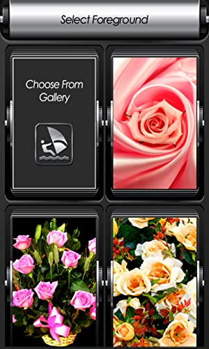 Pantalla de la flor de Rose de la cremallera de bloqueo