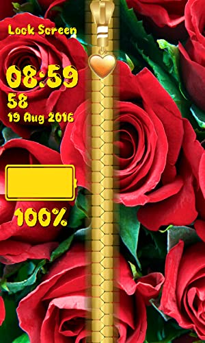 Pantalla de la flor de Rose de la cremallera de bloqueo