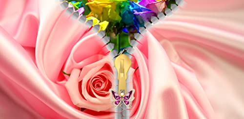 Pantalla de la flor de Rose de la cremallera de bloqueo