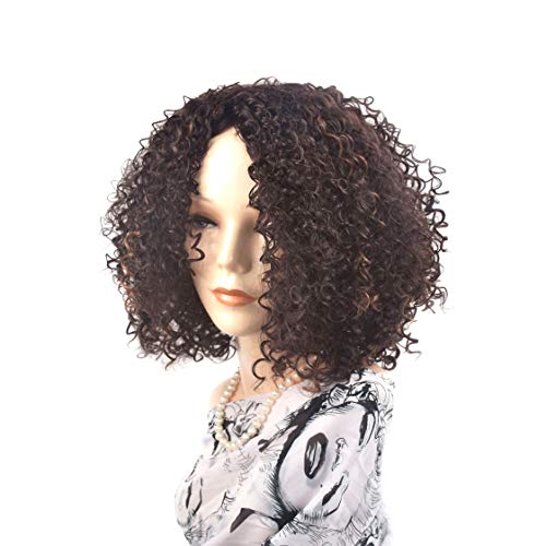 Pelucas cortas rizadas afro Kinky rizadas para mujer negra resistente al calor sintético pelo completo marrón claro pelucas