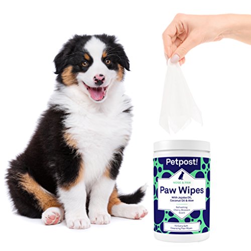 Petpost | Toallita para Patas de Perros - Limpiador para Patas de Perros Nutritivo y Revitalizante con Aceite de Coco, Aceite de Jojoba y Aloe - 70 Almohadillas de Algodón Ultra Suave (Flor de Cerezo)