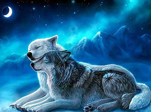 Pintura por números para Adultos DIY Pintura al óleo Kit con Pinceles y Pinturas para Niños Seniors Junior -Sin Marco -Lobo dependiente -40x50cm