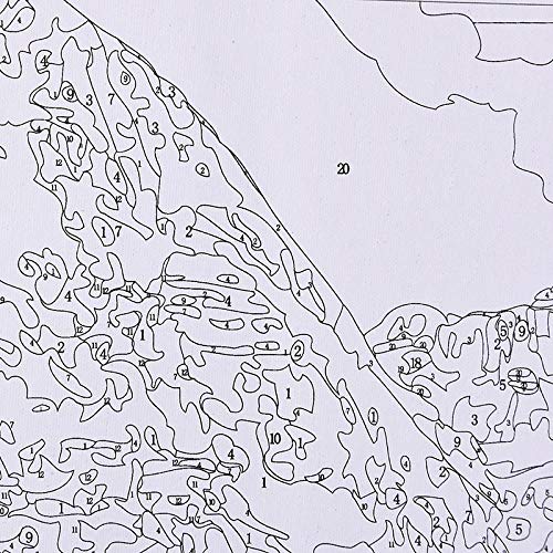 Pintura por Números Para Adultos Niños DIY Kit, Loro verde 4 Con Pinceles y Pinturas Lona Navidad Víspera de Todos los Santos Cumpleaños Decoración para el Hogar -40x50cm