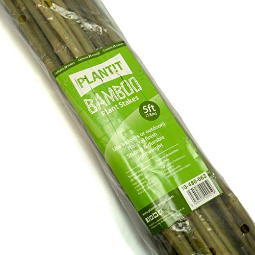 PLANT IT 10-480-062 - Estacas de bambú de 150 cm para sujetar plantas, paquete de 25 unidades, color beige