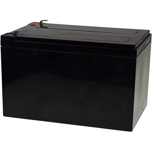 Powery FirstPower Batería de Gel para Sistemas solares Montacargas Equipos de Limpieza 12Ah 12V VDS