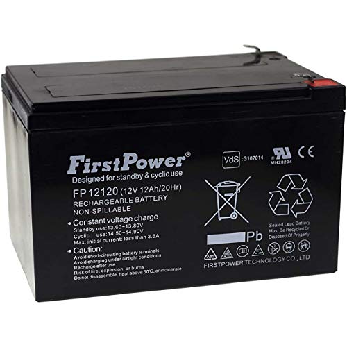 Powery FirstPower Batería de Gel para Sistemas solares Montacargas Equipos de Limpieza 12Ah 12V VDS