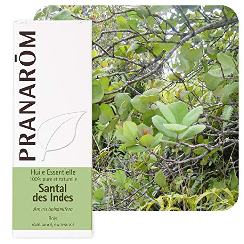 Pranarom Santal des Indes - Aceite Esencial, 10 ml