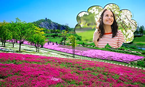 Primavera marcos de fotos