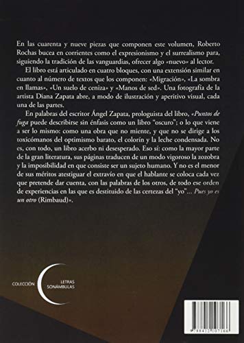 Puntos de fuga: 5 (Letras Sonambulas)