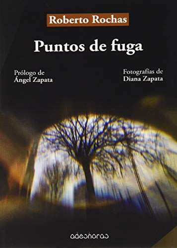 Puntos de fuga: 5 (Letras Sonambulas)