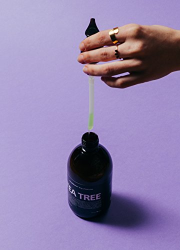 Purplebone Shampoo per cani con albero di tè alla menta viola e menta piperita idrata i capelli e allevia il prurito della pelle - 500 ml / 16.9 fl oz