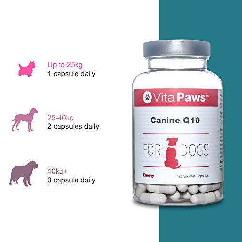 Q10 Canino - 120 Cápsulas - VitaPaws