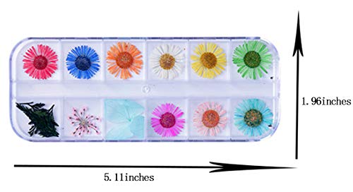 Ranvi Nail Dry Flower Manicure Sticker 3D Decoración 2PCS (Lace gypsophila, Gypsophila)