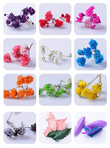 Ranvi Nail Dry Flower Manicure Sticker 3D Decoración 2PCS (Lace gypsophila, Gypsophila)