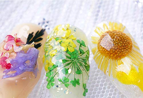 Ranvi Nail Dry Flower Manicure Sticker 3D Decoración 2PCS (Lace gypsophila, Gypsophila)