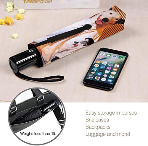 Rick Springfield Fuerte a Prueba de Viento Stormproof Plegable Viaje para Mujeres Hombres protección UV automático Triple Paraguas Plegable Umbrell