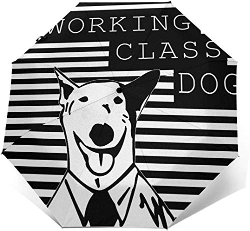 Rick Springfield Fuerte a Prueba de Viento Stormproof Plegable Viaje para Mujeres Hombres protección UV automático Triple Paraguas Plegable Umbrell