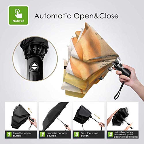 Rick Springfield Fuerte a Prueba de Viento Stormproof Plegable Viaje para Mujeres Hombres protección UV automático Triple Paraguas Plegable Umbrell