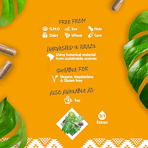 Rio Amazon Quebra Pedra 2500mg, 90 Vegitapas