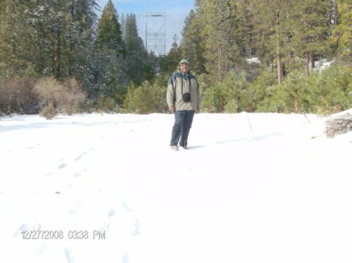 Roadside Memorials from California to Florida: John Steinbeck's Special Markers, Blinking Billboards and Fruit Stands (A U.S Blossom and Harvest Delight ... Travel markers Book 1) (English Edition)