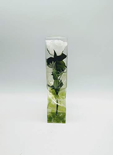 Rosa eterna preservada Blanca de 25 cm