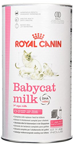 Royal Canin C-58410 Baby Leche Gato - 300 gr