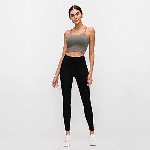 RRUI Medias para Mujer Medias de Mujer Nuevo Gather Cotton Blend Almohadillas para el Pecho de Las Mujeres Sexy Beauty Back Sports Gym Yoga Bra Solid Blue M