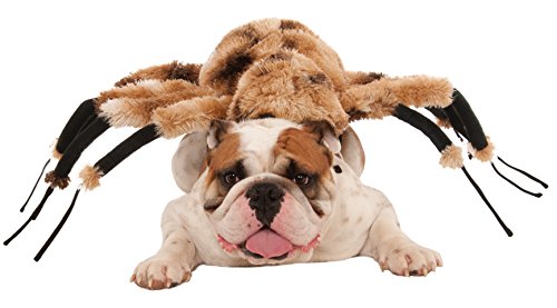 Rubie'S - Disfraz de araña Gigante, para Mascotas, Perro, Producto Oficial, Ideal para Halloween