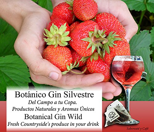 SABOREATE Y CAFE THE FLAVOUR SHOP Botánicos Silvestres para Gin Tonic Especias Para Cócteles. Aromatizante natural para la ginebra y licores Blancos - 12 unidades