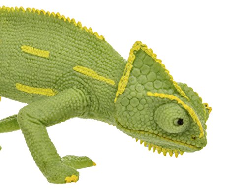 Safari bebé camaleón velado