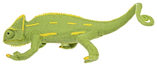 Safari bebé camaleón velado