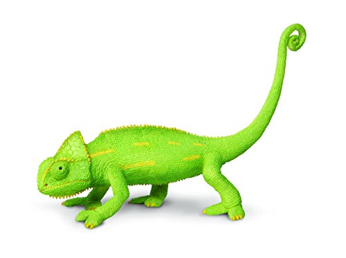 Safari bebé camaleón velado