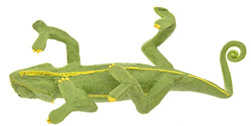 Safari bebé camaleón velado